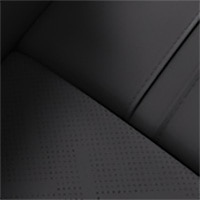 Tapiceria color negro Spark EUV